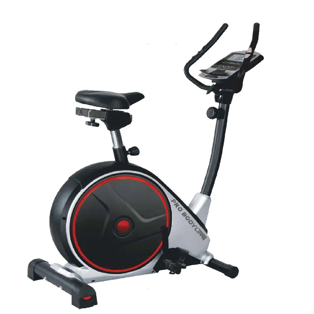 Upright Bike 913