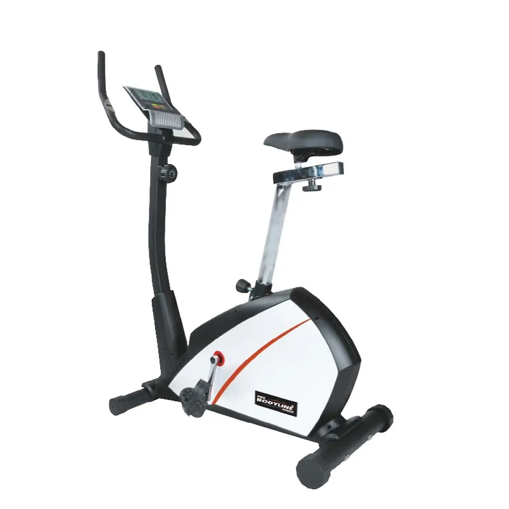 Upright Bike 669