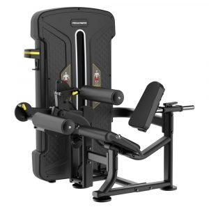 Seated-Leg Curl