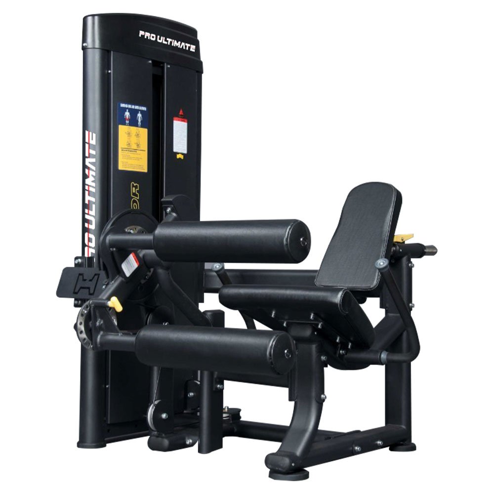 X-Factor Seated Leg Curl Leg Extension