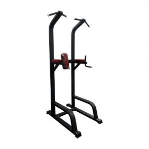 Pull ups & Dips Bar
