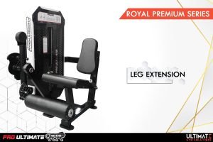 Leg Extension