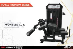 Prone Leg CURL
